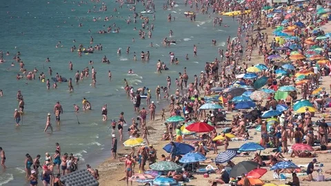 Crowded sunny beach. Stock Footage 75080981