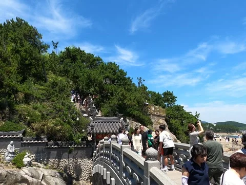 Crowded Temple Bridge with Tourists During Summer Season Stock Footage 327788461