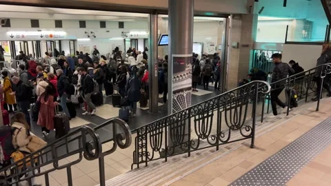 Crowded ticket queue at Paris Est main station Stock-Footage 242369964