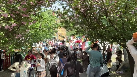 Crowded Tourists Lining Up in Park Under Blooming Flowers 스톡 동영상 335258618