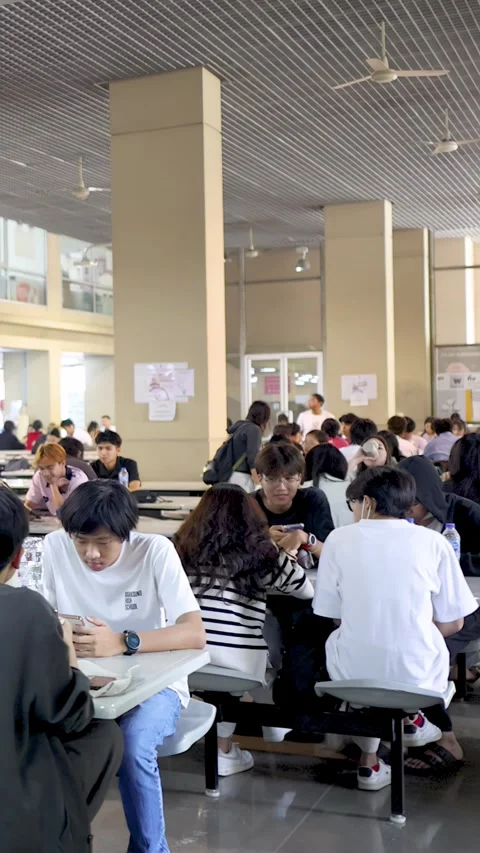 Crowded University Cafeteria with Students Eating and Socializing Stock Footage 339124189