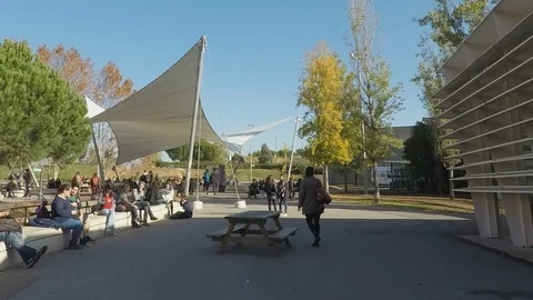 Crowded University Campus Stock Footage 89541418