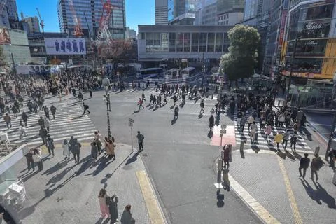 Crowded Urban Intersection with Pedestrians in Motion, Shibuya Dec 9 2024 Stock Photos