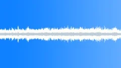 Crowd,Highschool Grad,Auditorium,Large,Idle,Chatter 1Sound Effect