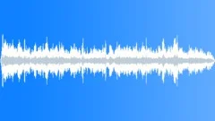 CROWD,INDOOR Sound Effect