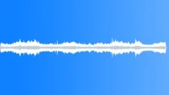 CROWD,INDOORSound Effect