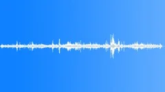 CROWD,INDOOR Sound Effect