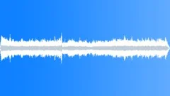 CROWD,INDOORSound Effect