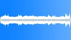 CROWD,INDOOR Sound Effect