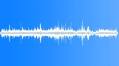 CROWD,INDOORSound Effect