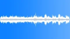 CROWD,INDOOR Sound Effect