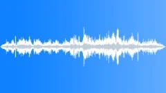 CROWD,INDOORSound Effect