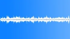 CROWD,INDOOR Sound Effect