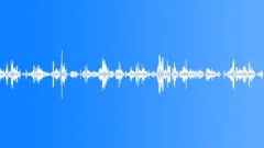 CROWD,INDOOR Sound Effect