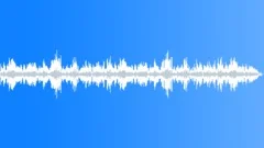 CROWD,INDOOR Sound Effect