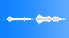 CROWD,LAUGHTERSound Effect