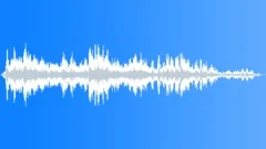 CROWD,LAUGHTERSound Effect