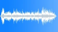 CROWD,LAUGHTERSound Effect