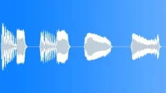 CROWD,LAUGHTERSound Effect