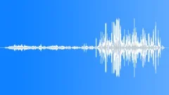 CrowdmurmurlaughreactionSound Effect
