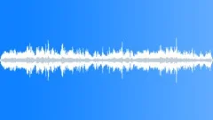 CROWD,OUTDOORSound Effect