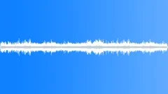 CROWD,OUTDOORSound Effect