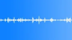 CROWD,OUTDOORSound Effect