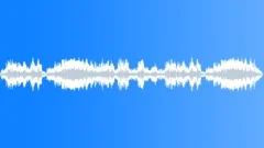 CROWD,OUTDOOR Sound Effect