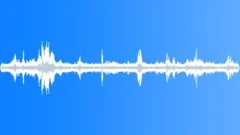 CROWD,OUTDOORSound Effect