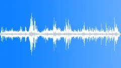 CROWD,PARTYSound Effect