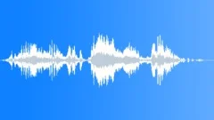 CROWD,PARTY Sound Effect