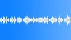 CROWD,PARTYSound Effect