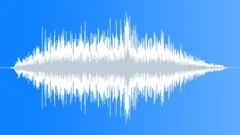 CROWD,REACTIONSound Effect