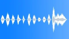CROWD,REACTIONSound Effect