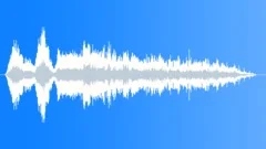 CROWD,REACTIONSound Effect