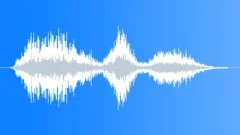 CROWD,REACTION Sound Effect