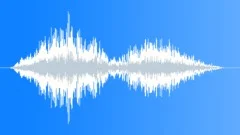 CROWD,REACTIONSound Effect
