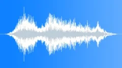 CROWD,REACTION Sound Effect