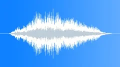 CROWD,REACTIONSound Effect