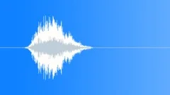 CROWD,REACTIONSound Effect