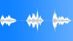 CROWD,REACTION Sound Effect