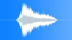 CROWD,REACTIONSound Effect