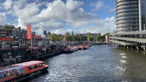 Crowds can be seen from across the river protesting in Solidarity with Palestine Stock Footage 255048298