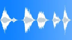 Crowds Cheers Reacts x5 Unison Whoa Excited Surprised Yells Medium ClSound Effect