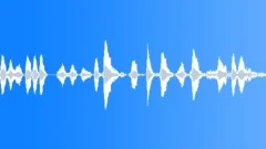 Crowds Cheers Teenage Concert Medium Cheer Series Reacts Girls Voices Wohoos ClSound Effect