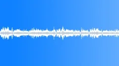 Crowds Church Mass Cetatuia Monastery Denia Prohodului Celebration Male Speaker Sound Effect