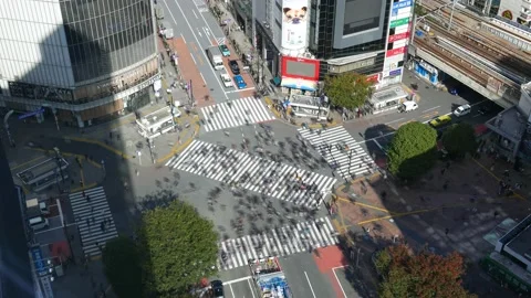 Crowds of commuters at busy scramble crossing, time lapse shot from height Stock Footage 218312138