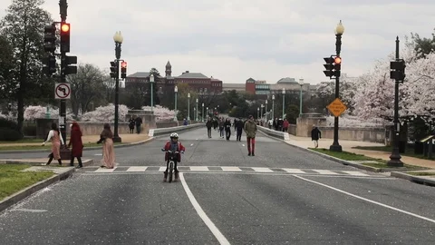 Crowds gather at the Tidal Basin in Washington DC during COVID-19 Stock Footage 127056857