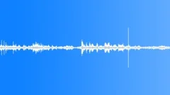 Crowds Kids School High School Teens Gym Screwin Around DistantSound Effect