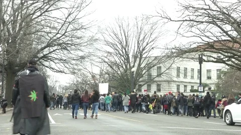 Crowds March Away Pro-Marijuana Inaugural Protest Stock-Footage 71809220